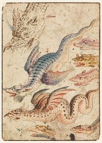 Studies of a dragon