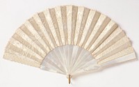 Pleated fan and case