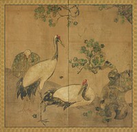 Three cranes under a tree