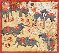 Maharana Raj Singh observing an elephant fight