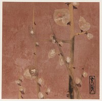 Plum blossoms, Honami Koetsu