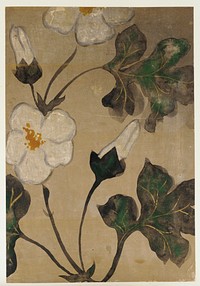 Rose mallow, Ogata Kenzan