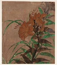 Tiger lilies and grass, Ogata Kenzan