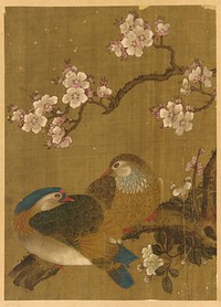 Birds and plum-blossoms