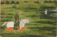 A mounted man hunting birds with a falcon