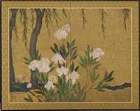 Peonies and willows, Hasegawa Tonin