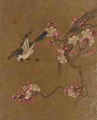 Birds and Flowers