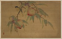 Bird, Fruit, and Flowers, Wu Zhang