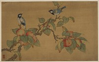 Birds and Fruit, Wu Zhang