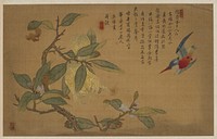 Bird, Fruit, and Flowers, Wu Zhang