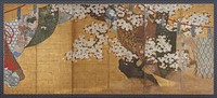 Wind-screen and cherry tree