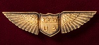 Badge, Miltary Aviator, United States Army Air Service