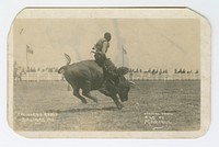 California Rodeo, Salinas, 1919, M.B. Marcell