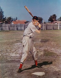 Ted Williams