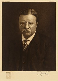 Theodore Roosevelt, Jacques Reich