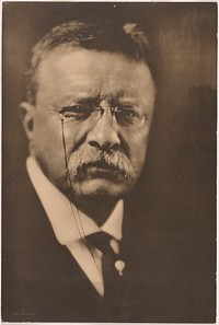 Theodore Roosevelt