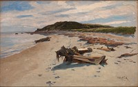 Cape Cod, Beach, Herman Hartwich