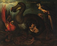 The Dodo and Given, Henrik Gronvold