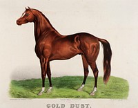 Gold Dust, John Cameron