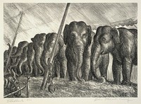 Circus Elephants, John Steuart Curry