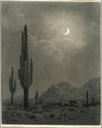 New Moon and Evening Star, Phoenix, George Elbert Burr