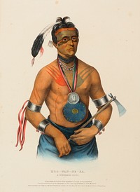 HOO-WAN-NE-KA, A WINNEBAGO CHIEF., from History of the Indian Tribes of North America