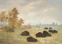 Stalking Buffalo, Arkansas by George Catlin