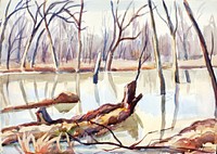 Rock Creek, Winter, Edgar Nye