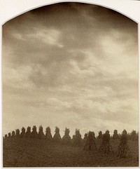 Corn Shocks and Sky, Doris Ulmann