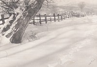 Path in the Snow