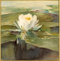 Water Lily in Sunlight, John La Farge