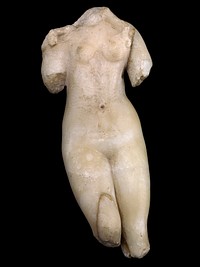 Female Torso