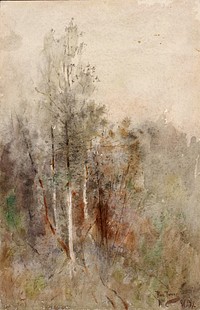 A Tree Study, Ross Turner