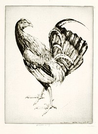 Game Cock, Emerson Tuttle