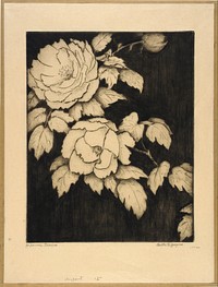 Japanese Peonies, Bertha Jaques