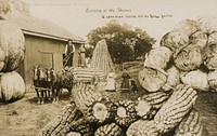 Bringing in the Sheaves: A common scene on an Iowa Farm