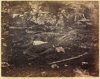 Incidents of the War: A Sharpshooter's Last Sleep