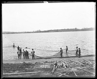 Seine-Haul Fishing on River