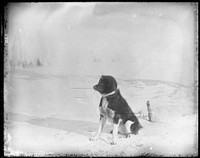 Northern Alaska Exploring Expedition, 1884-1886