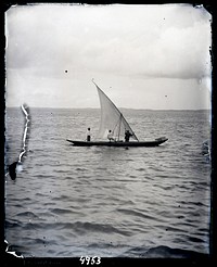 United States Fish Commission Steamer "Albatross" Circumnavigation of South America, 1888