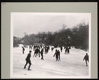 National Zoological Park, Ice-Skating at Rock Creek