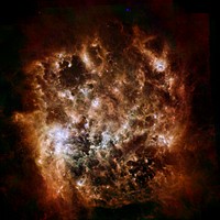 This image shows the Large Magellanic Cloud galaxy in infrared light as seen by the Herschel Space Observatory, a European Space Agency-led mission with important NASA contributions, and NASA's Spitzer Space Telescope. In the instruments' combined data, this nearby dwarf galaxy looks like a fiery, circular explosion. Rather than fire, however, those ribbons are actually giant ripples of dust spanning tens or hundreds of light-years. Significant fields of star formation are noticeable in the center, just left of center and at right. The brightest center-left region is called 30 Doradus, or the Tarantula Nebula, for its appearance in visible light. The colors in this image indicate temperatures in the dust that permeates the Cloud. Colder regions show where star formation is at its earliest stages or is shut off, while warm expanses point to new stars heating surrounding dust. The coolest areas and objects appear in red, corresponding to infrared light taken up by Herschel's Spectral and Photometric Imaging Receiver at 250 microns, or millionths of a meter. Herschel's Photodetector Array Camera and Spectrometer fills out the mid-temperature bands, shown here in green, at 100 and 160 microns. The warmest spots appear in blue, courtesy of 24- and 70-micron data from Spitzer.