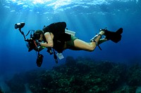 GUANTANAMO BAY, Cuba (Feb. 9, 2012) Mass Communication Specialist 1st Class Shane Tuck, assigned to the Expeditionary Combat Camera Underwater Photo Team, conducts underwater photography training off the coast of Guantanamo Bay, Cuba. The team conducts semi-annual training to hone its divers' specialized skill set and ensure valuable support of Department of Defense activities worldwide. (U.S. Navy photo by Mass Communication Specialist 1st Class Jayme Pastoric/Released)