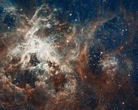 Several million young stars are vying for attention in this NASA Hubble Space Telescope image of a raucous stellar breeding ground in 30 Doradus, located in the heart of the Tarantula Nebula. Early astronomers nicknamed the nebula because its glowing filaments resemble spider legs.30 Doradus is the brightest star-forming region visible in a neighboring galaxy and home to the most massive stars ever seen. The nebula resides 170,000 light-years away in the Large Magellanic Cloud, a small, satellite galaxy of our Milky Way. No known star-forming region in our galaxy is as large or as prolific as 30 Doradus.The composite image comprises one of the largest mosaics ever assembled from Hubble photos and includes observations taken by Hubble's Wide Field Camera 3 and Advanced Camera for Surveys. The Hubble image is combined with ground-based data of the Tarantula Nebula, taken with the European Southern Observatory's 2.2-meter telescope in La Silla, Chile. NASA and the Space Telescope Science Institute are releasing the image to celebrate Hubble's 22nd anniversary.Collectively, the stars in this image are millions of times more massive than our Sun. The image is roughly 650 light-years across and contains some rambunctious stars, from one of the fastest rotating stars to the speediest and most massive runaway star.The nebula is close enough to Earth that Hubble can resolve individual stars, giving astronomers important information about the stars' birth and evolution. Many small galaxies have more spectacular starbursts, but the Large Magellanic Cloud's 30 Doradus is one of the only extragalactic star-forming regions that astronomers can study in so much detail. The star-birthing frenzy in 30 Doradus may be partly fueled by its close proximity to its companion galaxy, the Small Magellanic Cloud.The image reveals the stages of star birth, from embryonic stars a few thousand years old still wrapped in cocoons of dark gas to behemoths that die young in supernova explosions. 30 Doradus is a star-forming factory, churning out stars at a furious pace over millions of years. Hubble shows star clusters of various ages, from about 2 million to about 25 million years old.The region's sparkling centerpiece is a giant, young star cluster (left of center) named NGC 2070, only 2 million years old. Its stellar inhabitants number roughly 500,000. The cluster is a hotbed for young, massive stars. Its dense core, known as R136, is packed with some of the heftiest stars found in the nearby universe, weighing more than 100 times the mass of our Sun.The massive stars are carving deep cavities in the surrounding material by unleashing a torrent of ultraviolet light, which is etching away the enveloping hydrogen gas cloud in which the stars were born. The image reveals a fantasy landscape of pillars, ridges, and valleys. Besides sculpting the gaseous terrain, the brilliant stars also may be triggering a successive generation of offspring. When the radiation hits dense walls of gas, it creates shocks, which may be generating a new wave of star birth.The colors represent the hot gas that dominates regions of the image. Red signifies hydrogen gas and blue, oxygen.Hubble imaged 30 separate fields, 15 with each camera. Both cameras were making observations at the same time. Hubble made the observations in October 2011.