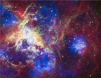 To celebrate its 22nd anniversary in orbit, the Hubble Space Telescope released a dramatic new image of the star-forming region 30 Doradus, also known as the Tarantula Nebula because its glowing filaments resemble spider legs. A new image from all three of NASA's Great Observatories--Chandra, Hubble, and Spitzer--has also been created to mark the event.The nebula is located in the neighboring galaxy called the Large Magellanic Cloud, and is one of the largest star-forming regions located close to the Milky Way. At the center of 30 Doradus, thousands of massive stars are blowing off material and producing intense radiation along with powerful winds. The Chandra X-ray Observatory detects gas that has been heated to millions of degrees by these stellar winds and also by supernova explosions. These X-rays, colored blue in this composite image, come from shock fronts--similar to sonic booms--formed by this high-energy stellar activity.The Hubble data in the composite image, colored green, reveals the light from these massive stars along with different stages of star birth, including embryonic stars a few thousand years old still wrapped in cocoons of dark gas. Infrared emission data from Spitzer, seen in red, shows cooler gas and dust that have giant bubbles carved into them. These bubbles are sculpted by the same searing radiation and strong winds that comes from the massive stars at the center of 30 Doradus.