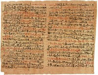 The Edwin Smith papyrus, the world's oldest surviving surgical document. Written in hieratic script in ancient Egypt around 1600 B.C., the text describes anatomical observations and the examination, diagnosis, treatment, and prognosis of 48 types of medical problems in exquisite detail. Among the treatments described are closing wounds with sutures, preventing and curing infection with honey and moldy bread, stopping bleeding with raw meat, and immobilization of head and spinal cord injuries. Translated in 1930, the document reveals the sophistication and practicality of ancient Egyptian medicine. Recto Column 6 (right) and 7 (left) of the papyrus, pictured here, discuss facial trauma. (Cases 12-20)