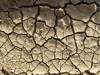 Dry mud. Photograph taken in El Quisco, Chile.