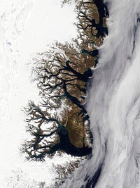 Greenland’s eastern coast is featured in this true-color Terra MODIS image from August 21, 2003. In the image, snows have yet to cover the coastal lands, and the waters in the fjords show spots of bright turquoise color from sediments deposited there by runoff. In the higher-resolution images, little spots of white in the water seem to be ice originating from the deeper fjords that reach all the way to the icecap covering most of the island.