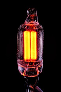Close-up view of an NE-2 (5mm diameter) type neon lamp. Both electrodes appear to glow simultaneously due to being powered by 60Hz alternating current, with the exposure time being longer than a full current cycle.