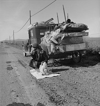 Tracy (vicinity), California. Missouri family of five who are seven months from the drought area on U.S. Highway 99. "Broke, baby sick, and car trouble!" (LOC description)N.B. The sign just visible in front of the truck confirms the other version on the LoC site is correct, not the mirror image version seen in the original scan this is based on.